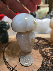 Dendritic Agate Mushroom AM4