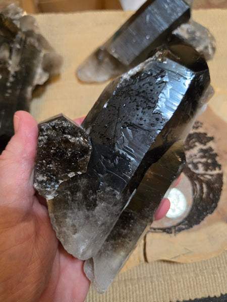 Smokey Quartz Cluster SM9