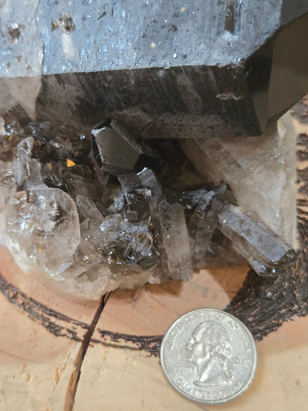 Smokey Quartz Cluster SM7