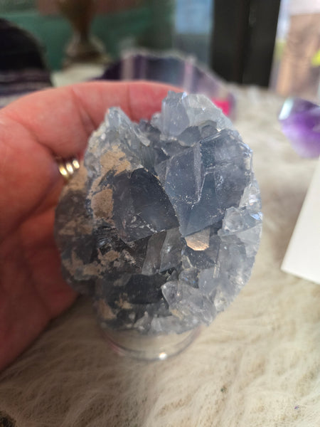 Celestite Cluster Geode C5