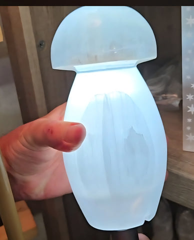 Selenite Mushroom Lamp with Cord & LED Light - Random Pull *Limited Quantities*