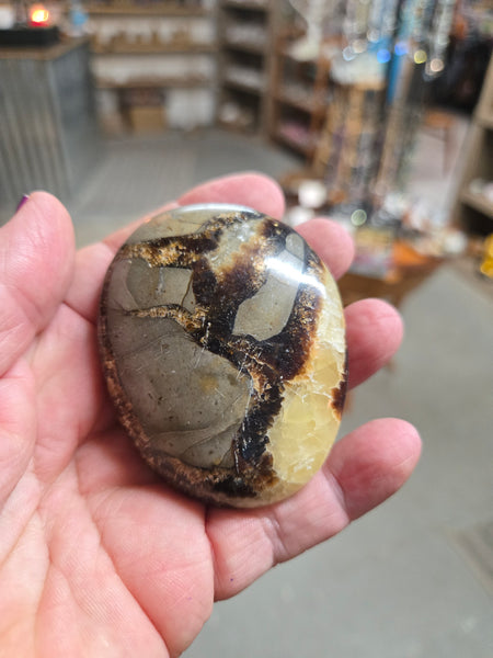 Septarian Palmstone