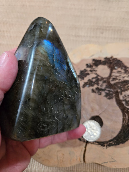Labadorite Freeform L2