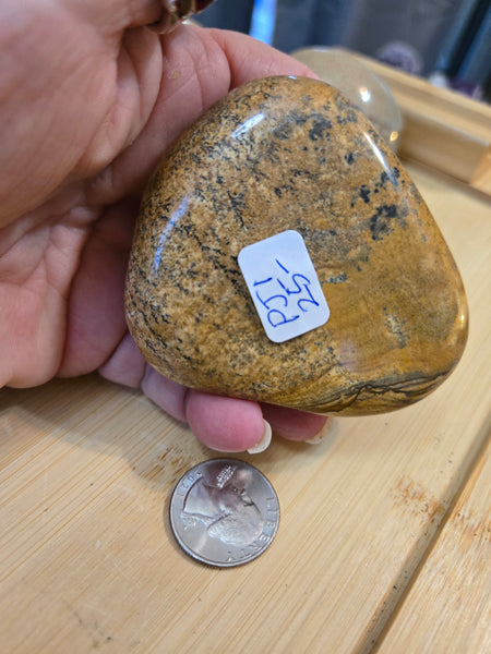 Power Stones - Picture Jasper Power Stone PJ1