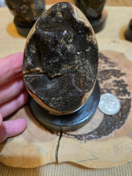 Septarian Agate Egg SA3 aka Dragon Egg