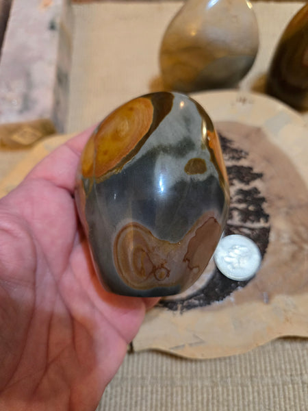 Polychrome Freeform PC3