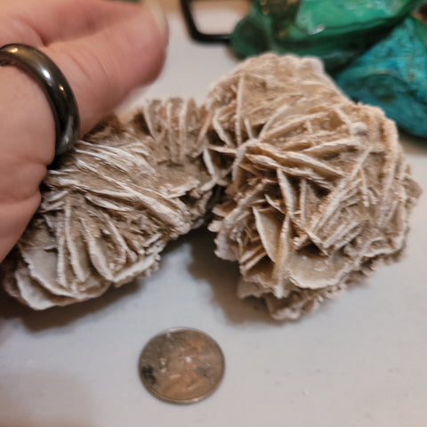 Desert Rose Selenite DS3