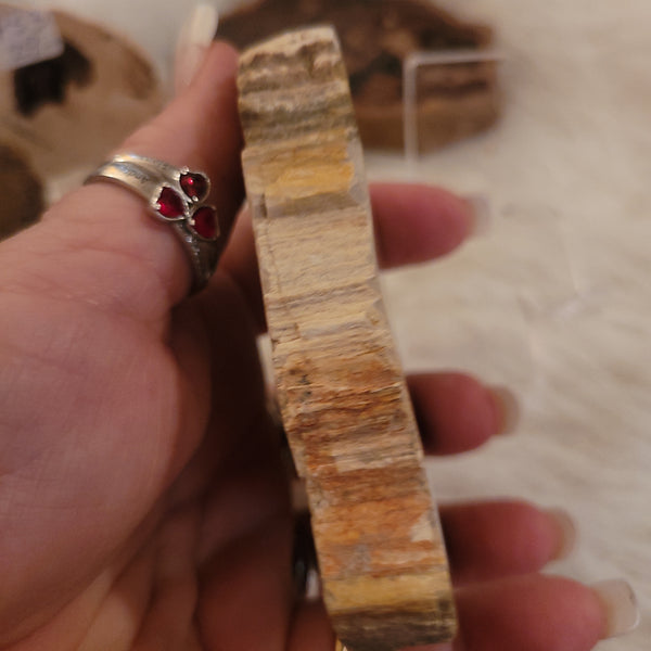 Petrified Wood Slab PS1