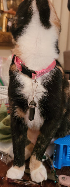 Fur Baby Protection Stone - clips onto collar- cats or dogs